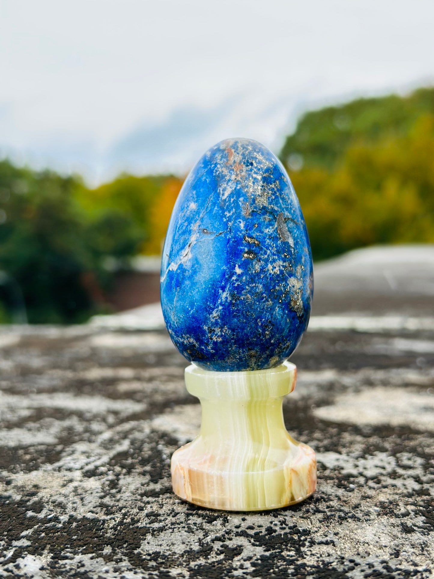 Lapis Lazuli Egg Combine With Gold Pyrite