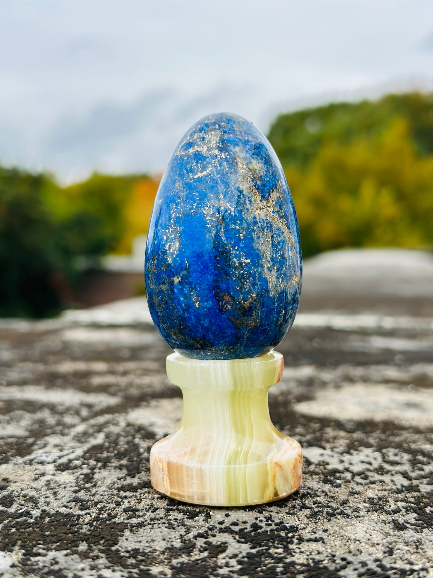 Lapis Lazuli Egg Combine With Gold Pyrite