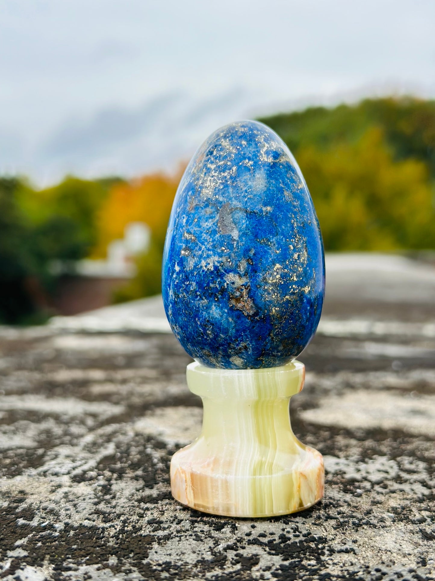 Lapis Lazuli Egg Combine With Gold Pyrite