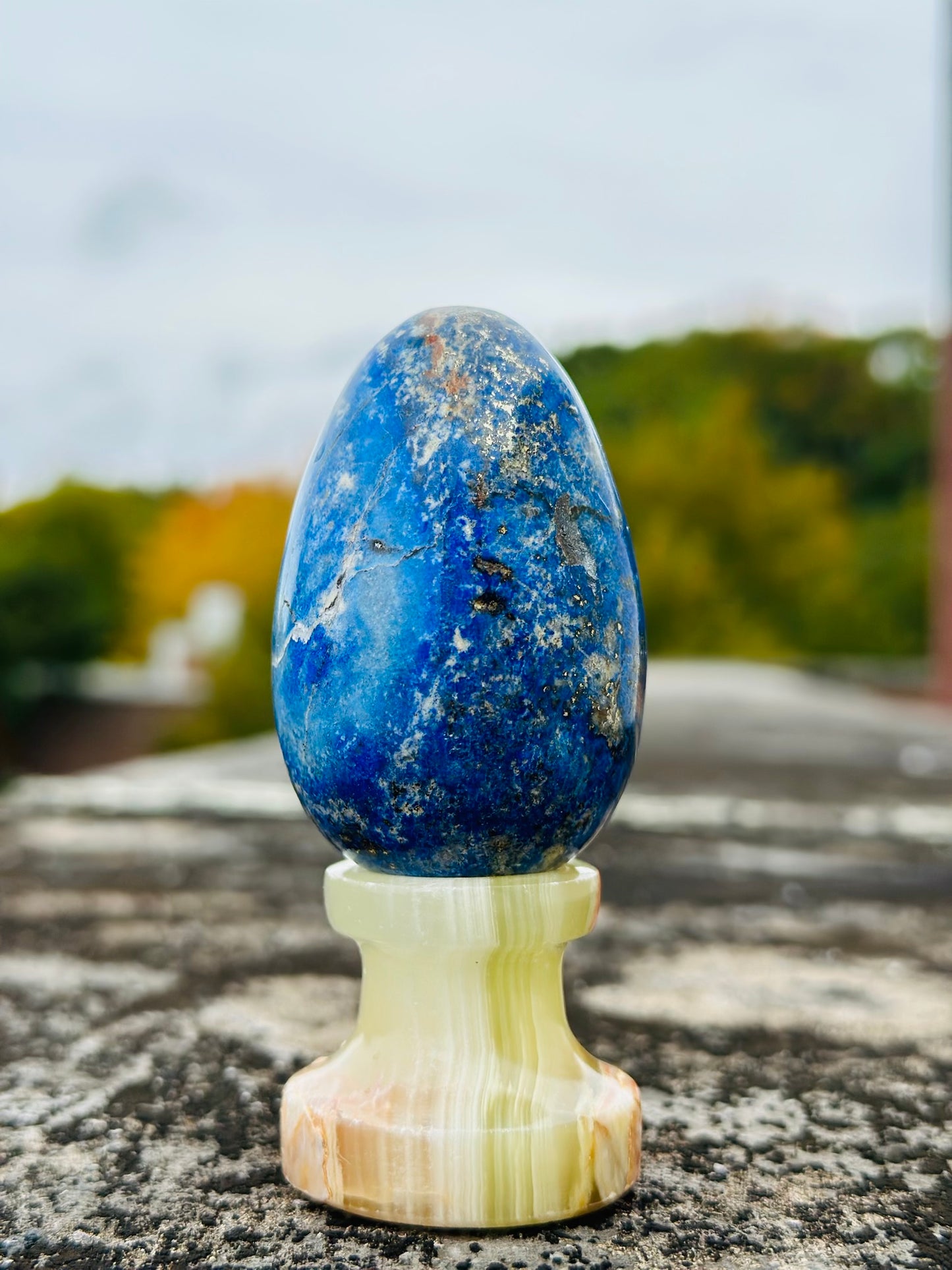 Lapis Lazuli Egg Combine With Gold Pyrite